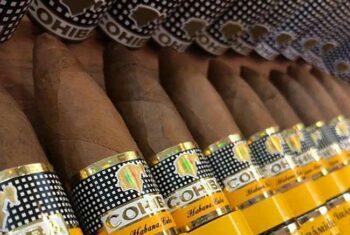 Xì gà Cohiba habana Cuba giá bao nhiêu? Top địa chỉ bán xì gà Cohiba