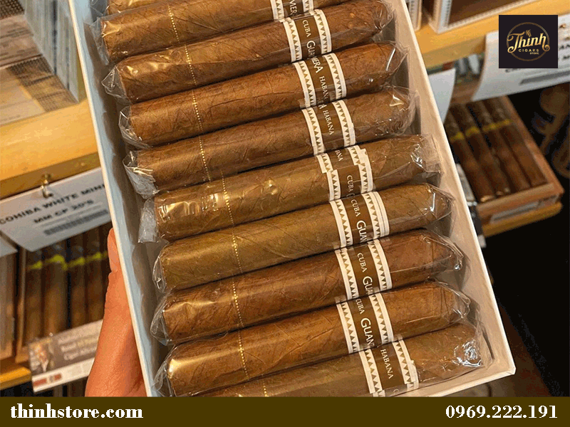 Mô tả về xì gà Guantanamera 20 điếu
