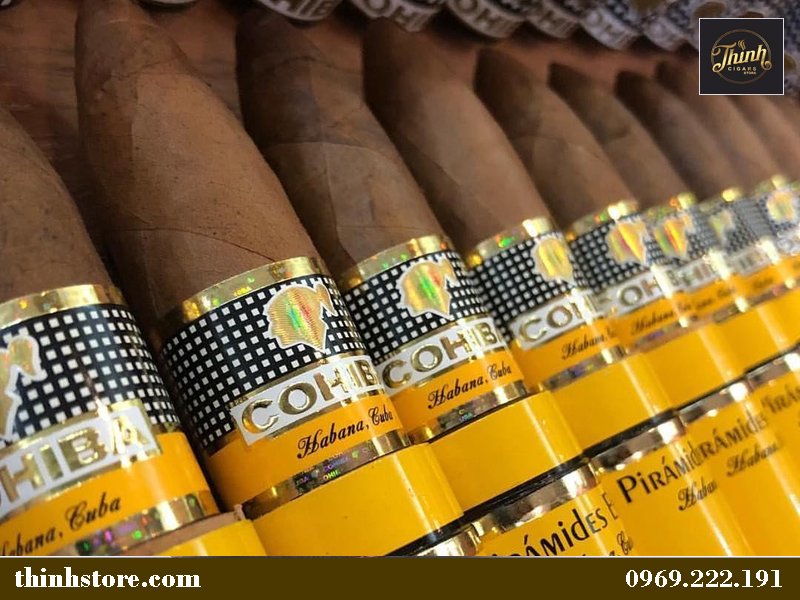 Xì gà Cohiba điếu to