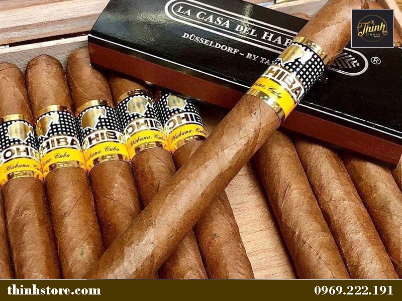 Xì gà Cohiba điếu to